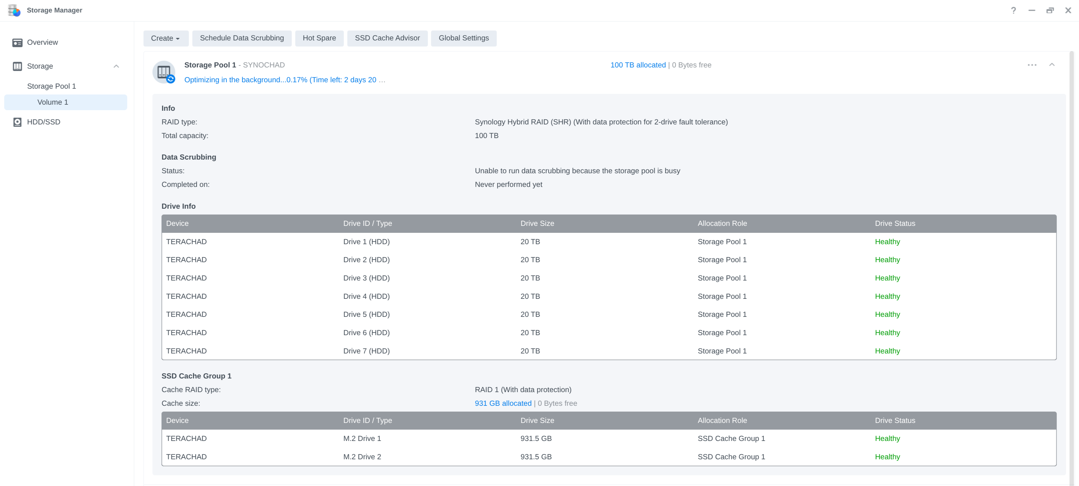 Synology Storage Manager showing the new SYNOCHAD pool in SHR with two-drive tolerance, 100 TB and all drives Healthy